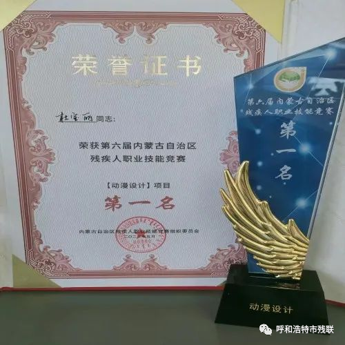 杜宝丽--荣获第六届内蒙古自治区残疾人职业技能竞赛【动漫设计】项目第一名.png